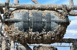 使用済みフロート(宇部樹脂加工)